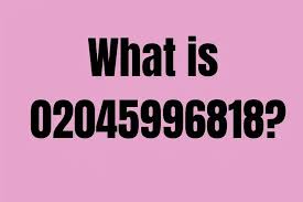 What You Should Know About 02045996818