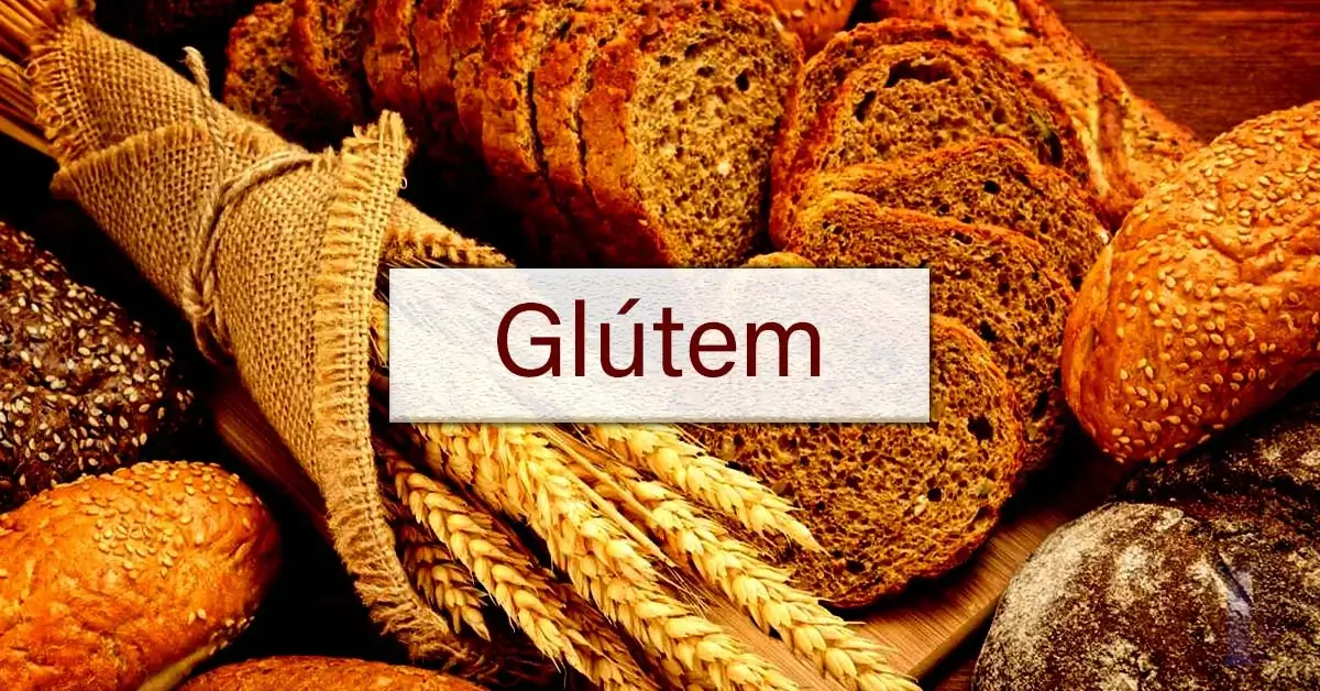 What is Glútem? All You Need To Know